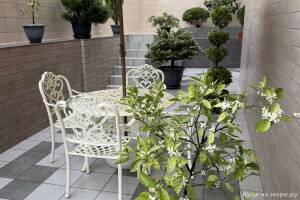 Изображение отеля / гостиницы "Апарт-отель «Holiday and Business Apartments»"
