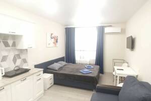 Изображение квартиры / апартамента "Студия «Виноград»"