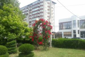 Изображение квартиры "2-комнатные апартаменты"