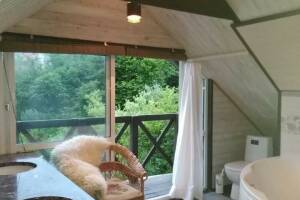 Изображение квартиры "Часть дома под ключ «Каньон Псахо»"