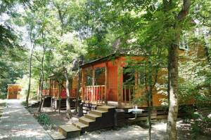 Изображение квартиры "Коттедж «Тихий лесок»"