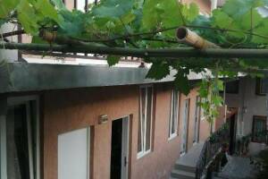 Изображение гостиницы "Гостевой дом «Салют»"