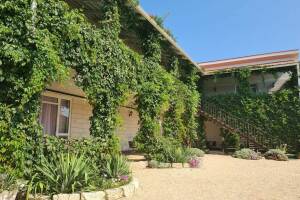 Изображение отеля / гостиницы "Гостевой дом «Должанская Курячи»"