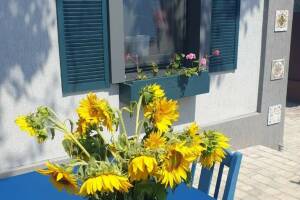 Изображение квартиры "Дом под ключ «Дом художника»"