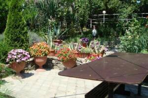 Изображение отеля / гостиницы "Частный сектор «Золотое ущелье»"