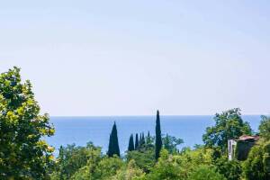 Изображение отеля / гостиницы "Гостиничный комплекс «Вилла Леона»"