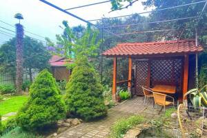 Изображение отеля / гостиницы "Гостевой дом «Дача»"