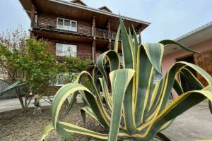 Изображение отеля / гостиницы "Гостевой дом «EcoRest»"