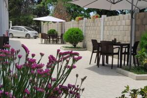 Изображение отеля / гостиницы "Гостевой дом «Пекан»"