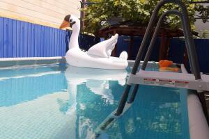 Изображение гостиницы "Гостевой дом «Афалина»"