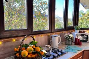 Изображение квартиры / апартамента "Дом под ключ «Мандариновый дворик»"