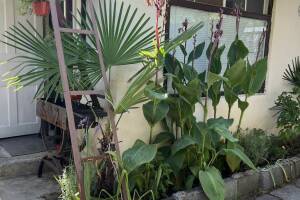 Изображение квартиры / апартамента "Гостевой дом под ключ «Отдых у моря»"