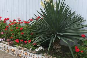 Изображение отеля / гостиницы "Гостевой дом «Анита»"