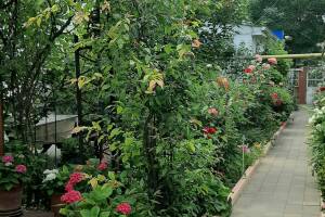 Изображение отеля / гостиницы "Частный дом «Визит»"