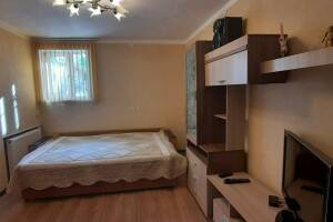 Изображение квартиры / апартамента "Квартира на Санаторской"