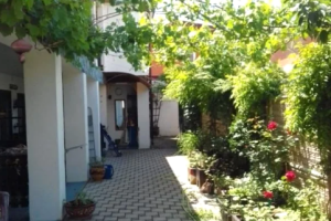 Изображение отеля / гостиницы "Гостевой дом «Зеленый рай»"