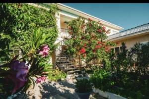 Изображение гостиницы "Гостевой дом «Medine»"