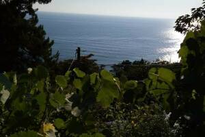 Изображение квартиры / апартамента "Домик у моря"