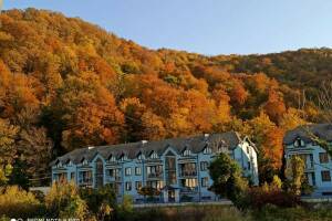 Изображение квартиры "Апартаменты «Агой»"