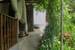 Изображение отеля / гостиницы "Гостевой дом «У Кедра»"