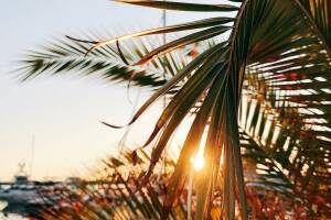 Изображение отеля / гостиницы "Частный дом «Марина»"