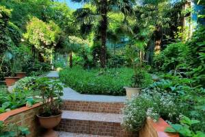 Изображение отеля / гостиницы "Гостевой дом «Мини Пальма»"