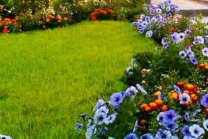 Изображение отеля / гостиницы "Гостевой дом «Море»"