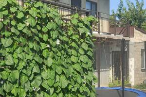 Изображение гостиницы "Гостевой дом «Семейный отдых»"