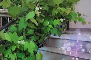 Изображение отеля / гостиницы "Гостевой дом «У Егора»"