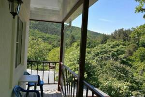 Изображение гостиницы "Гостевой дом «Акация»"