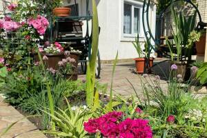 Изображение гостиницы "Частный сектор на Ленина 29/4"