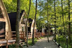 Изображение гостиницы "Клуб загородного отдыха «Дубрава»"