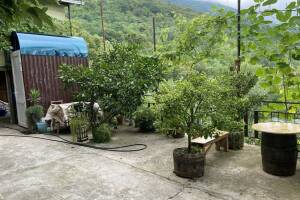 Изображение отеля / гостиницы "Частный дом «у Абони»"