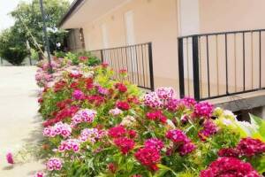 Изображение отеля / гостиницы "Гостевой дом «Отдых у Жанны»"