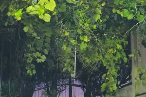 Изображение отеля / гостиницы "Гостевой дом «Уют»"