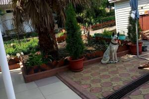 Изображение отеля / гостиницы "Гостевой дом «ЛайМ»"