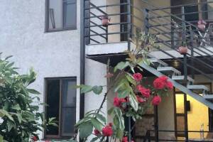 Изображение отеля / гостиницы "Гостевой дом «Imran&Azamat»"