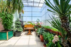 Изображение отеля / гостиницы "Гостевой дом «Оазис»"