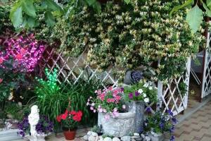 Изображение отеля / гостиницы "Гостевой дом на Ростовской 50"