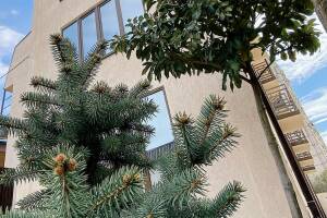 Изображение отеля / гостиницы "Отель «A-more»"