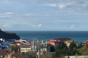 Изображение отеля / гостиницы "Гостевой дом «Наутилус»"