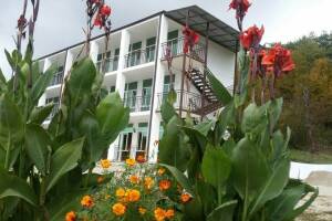 Изображение отеля / гостиницы "Гостевой дом «Мечта»"