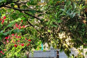 Изображение отеля / гостиницы "Частный сектор «Остров сокровищ»"