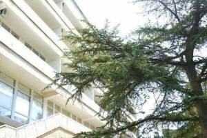 Изображение гостиницы "Гостиница «Адмирал Ялта»"