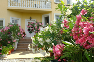 Изображение отеля / гостиницы "Гостевой дом «Олеандр»"