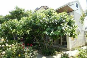 Изображение отеля / гостиницы "Гостевой дом на Самбурова"