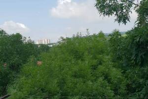 Изображение квартиры "Апартаменты «Люкс»"