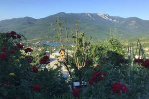 Изображение квартиры "Дом под ключ «Изобильное»"