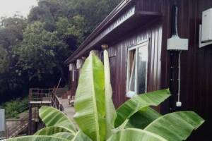 Изображение отеля / гостиницы "Гостевой дом «Парус»"