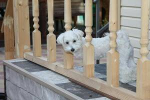 Изображение отеля / гостиницы "Гостевой дом «Добрый хозяин»"